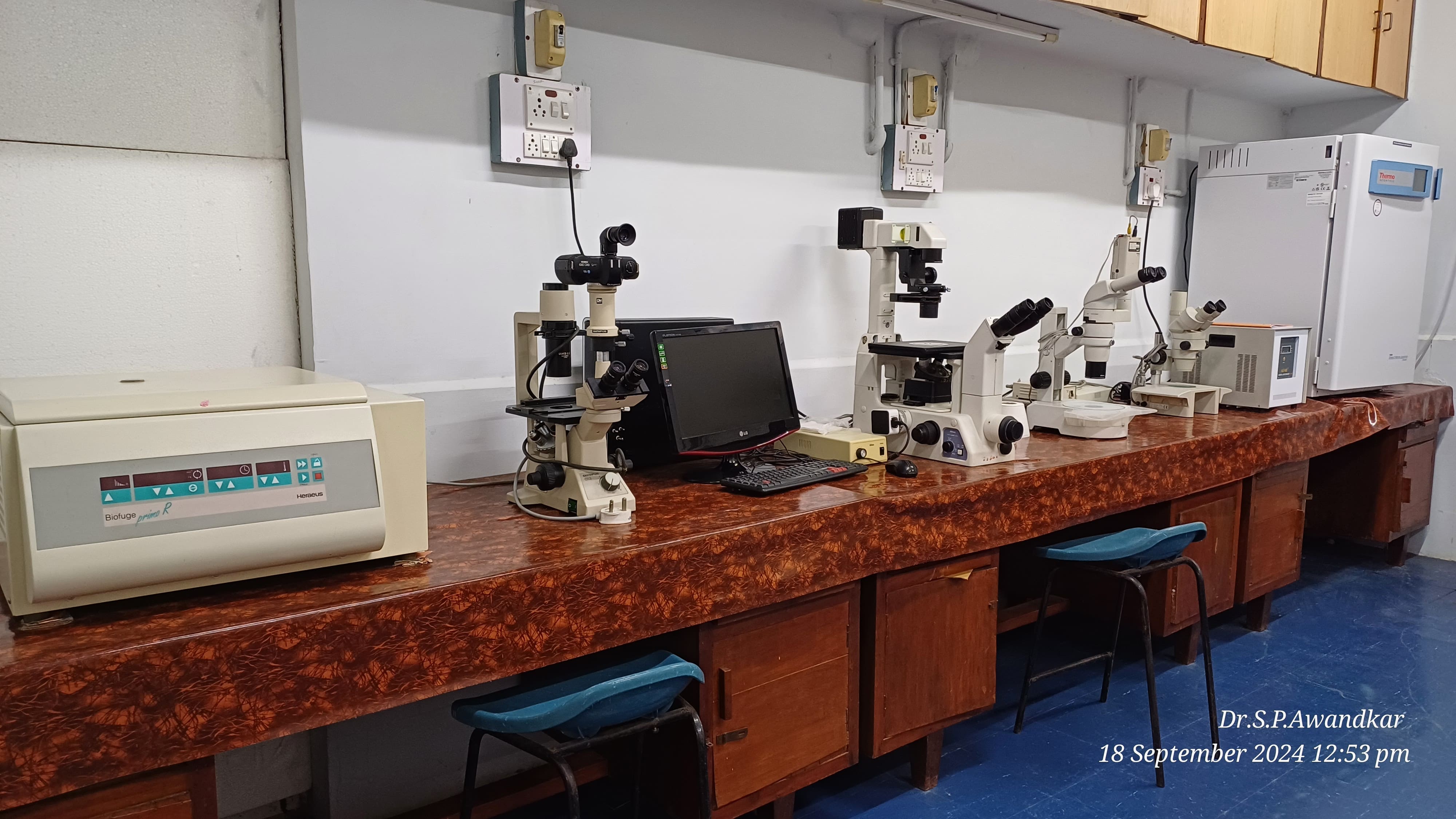 4. Virology And Cell Culture Laboratory